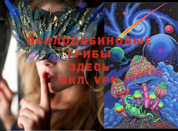 гидра Алексин