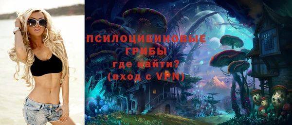 гидра Алексин