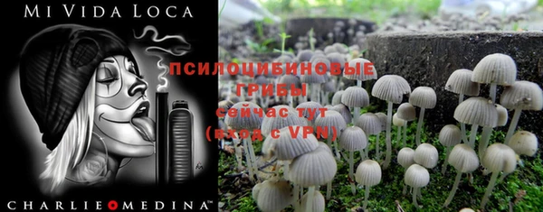 мет Абаза